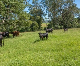 Rural / Farming commercial property for sale at 176 McMillans Road Ellenborough NSW 2446