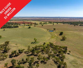 Rural / Farming commercial property sold at 1107 Brobenah Hall Road Leeton NSW 2705