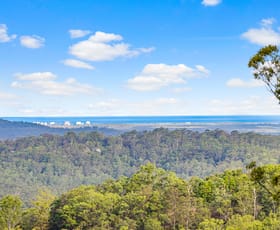 Rural / Farming commercial property sold at 269 Diamond Valley Road Diamond Valley QLD 4553