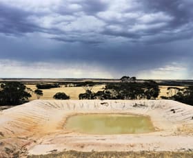 Rural / Farming commercial property sold at 1170 North Lake Grace - Karlgarin Road Kuender WA 6353