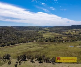 Rural / Farming commercial property for sale at 2493 Sandy Creek Road Gulgong NSW 2852