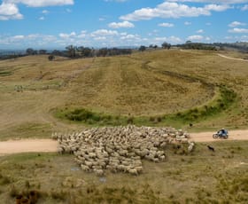 Rural / Farming commercial property sold at 181 The Bridle Track Duramana NSW 2795