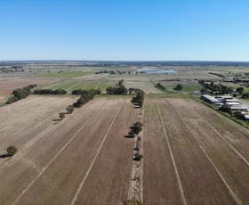 Rural / Farming commercial property for sale at 116 Danahers Road Cohuna VIC 3568