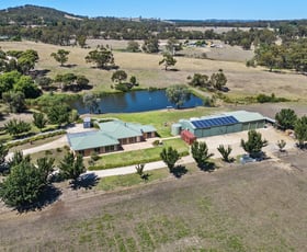 Rural / Farming commercial property for sale at 80 Powell Road Kersbrook SA 5231