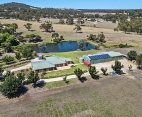 Rural / Farming commercial property sold at 80 Powell Road Kersbrook SA 5231