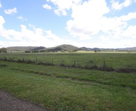 Rural / Farming commercial property for sale at Lot 173 Kings Creek Yarrawa NSW 2328