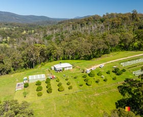 Rural / Farming commercial property sold at 130 Allards Lane Nelligen NSW 2536