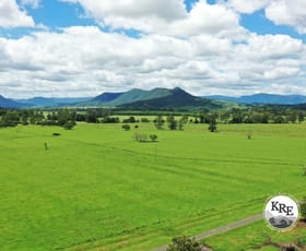 Rural / Farming commercial property for sale at 849 Wiangaree Back Road Kyogle NSW 2474