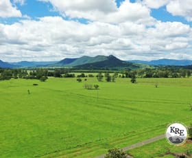 Rural / Farming commercial property sold at 849 Wiangaree Back Road Kyogle NSW 2474