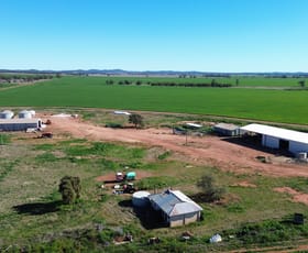 Rural / Farming commercial property for sale at Marooba 3159 Nyngan Road Tottenham NSW 2873