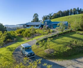 Rural / Farming commercial property for sale at 1163 Deer Vale Road Dorrigo NSW 2453