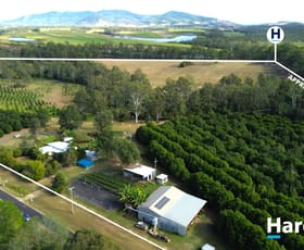 Rural / Farming commercial property for sale at 45 Talegalla Drive Talegalla Weir QLD 4650