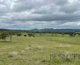Rural / Farming commercial property for sale at 717 Aberdeens Road Wilson Valley QLD 4625