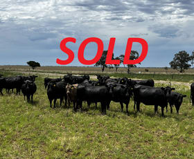 Rural / Farming commercial property sold at Lot 1 & 2 Mount Terricks Road (Roslynmead) Road Echuca VIC 3564