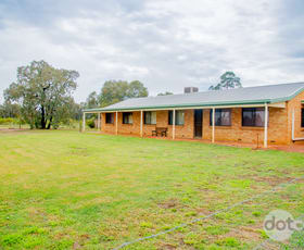 Rural / Farming commercial property for sale at 82L Godwins Lane Eumungerie NSW 2822