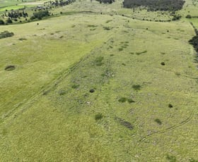 Rural / Farming commercial property sold at 409 Bellevue Road Tenterfield NSW 2372
