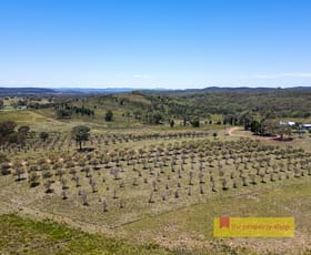 Rural / Farming commercial property sold at 1732 Spring Ridge Road Gulgong NSW 2852