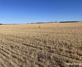 Rural / Farming commercial property sold at . Lot 11525 Ditchburn Road Nyabing WA 6341