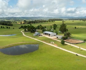 Rural / Farming commercial property for sale at 700 Oaklands Road Yarrowitch NSW 2354