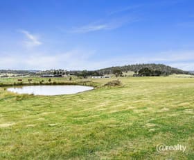 Rural / Farming commercial property for sale at 133 Springhill Bottom Road Colebrook TAS 7027