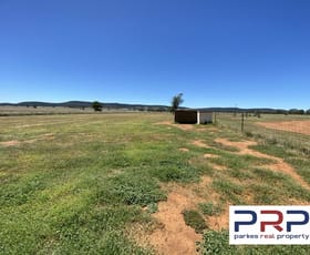 Rural / Farming commercial property for sale at 7976 Henry Parkes Way Parkes NSW 2870