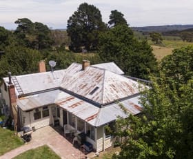 Rural / Farming commercial property for sale at "Austral Park" 4035 Monaro Highway Steeple Flat NSW 2631