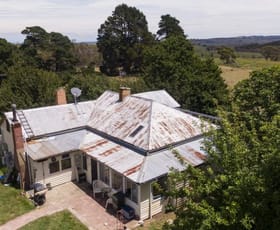 Rural / Farming commercial property sold at "Austral Park" 4035 Monaro Highway Steeple Flat NSW 2631