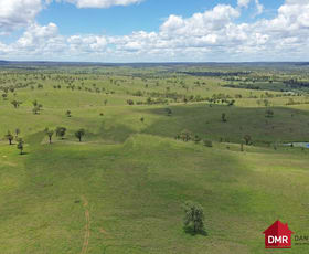 Rural / Farming commercial property for sale at Mundubbera QLD 4626