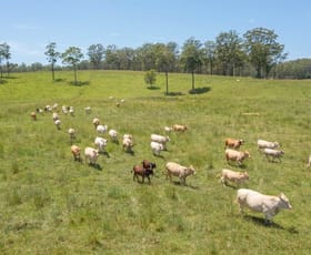 Rural / Farming commercial property for sale at Herons Creek NSW 2439