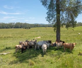 Rural / Farming commercial property for sale at Herons Creek NSW 2439