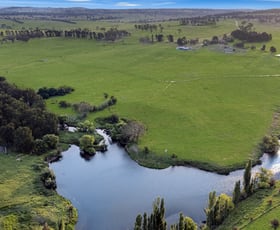 Rural / Farming commercial property for sale at 22 Blue Hole Road Castle Doyle NSW 2350