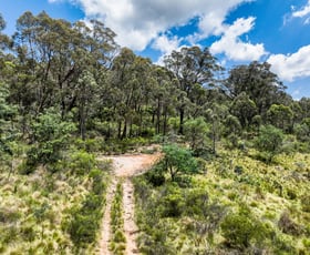 Rural / Farming commercial property sold at 1474 Bald Ridge Road Bald Ridge NSW 2795