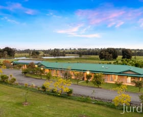 Rural / Farming commercial property for sale at 307 Talga Road Lovedale NSW 2325