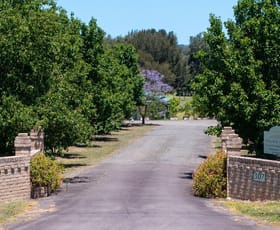 Rural / Farming commercial property for sale at 307 Talga Road Lovedale NSW 2325