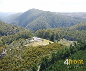 Rural / Farming commercial property sold at 260 Smiths Plains Road South Nietta TAS 7315