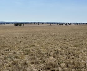 Rural / Farming commercial property sold at . Albury Road Lockhart NSW 2656