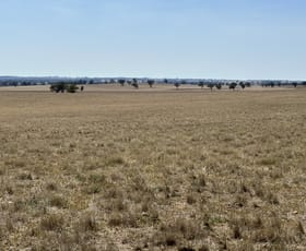 Rural / Farming commercial property sold at . Albury Road Lockhart NSW 2656