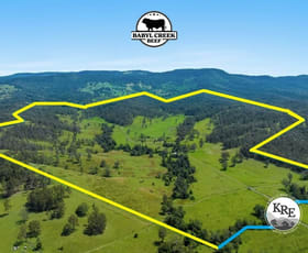 Rural / Farming commercial property for sale at 421 Babyl Creek Road Kyogle NSW 2474