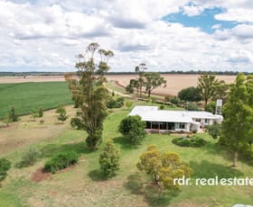 Rural / Farming commercial property for sale at 137 Gragin Road Delungra NSW 2403