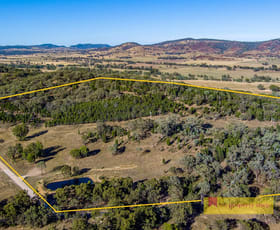 Rural / Farming commercial property sold at 303 Lower Piambong Road Mudgee NSW 2850