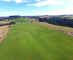 Rural / Farming commercial property for sale at 245 Smarts Road Mount Hicks TAS 7325