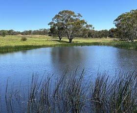 Rural / Farming commercial property for sale at Parcel 16/371 Mayfield Road Braidwood NSW 2622