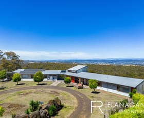 Rural / Farming commercial property sold at 272 Lilydale Road Rocherlea TAS 7248