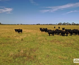 Rural / Farming commercial property for sale at Bradleys Road Stradbroke VIC 3851