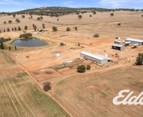 Rural / Farming commercial property for sale at 516 Draytons Road Boomanoomana NSW 2712
