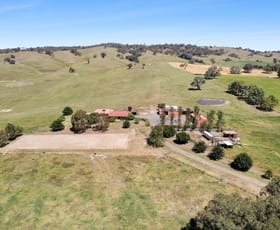 Rural / Farming commercial property for sale at 298 Metcalfe - Redesdale Road Metcalfe VIC 3448