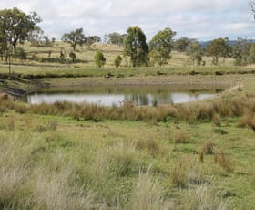 Rural / Farming commercial property for sale at 214 Mole Station Road Tenterfield NSW 2372