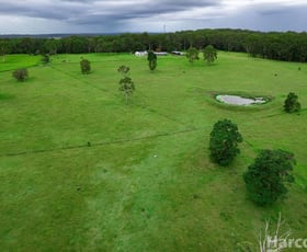 Rural / Farming commercial property for sale at 483 Seven Hills Road Collombatti NSW 2440