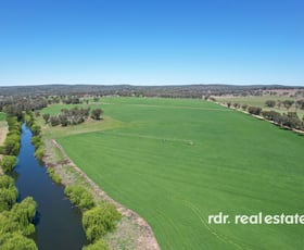 Rural / Farming commercial property for sale at 213 Mclachlans Ln Inverell NSW 2360