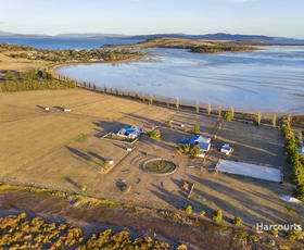 Rural / Farming commercial property sold at 201 Cremorne Avenue Cremorne TAS 7024